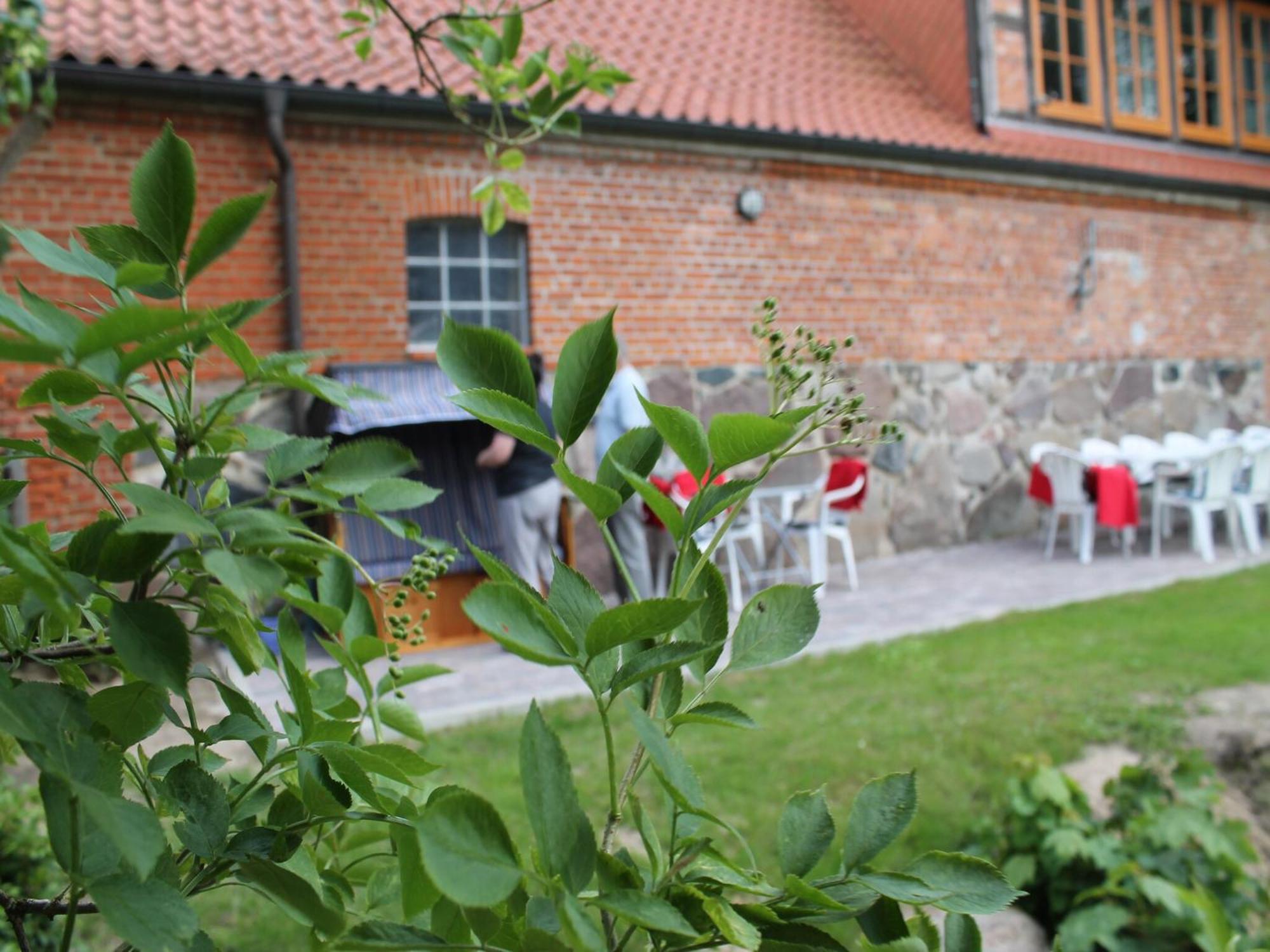 Mansion In Gressow With Terrace Garden Bbq Pond Bicycles Villa Exteriör bild